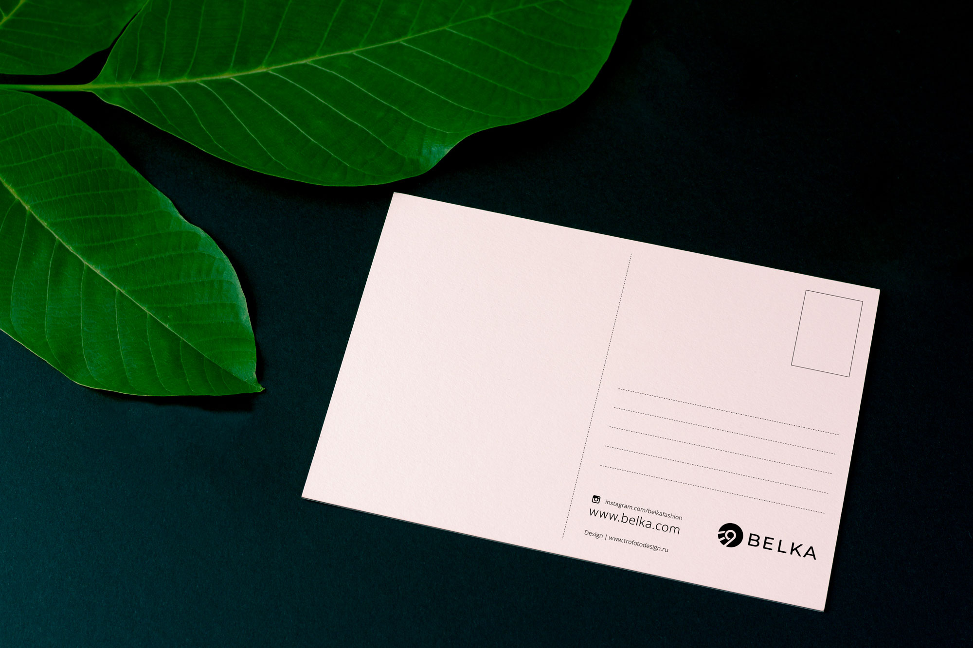 дизайн почтовой открытки для бренда Belka