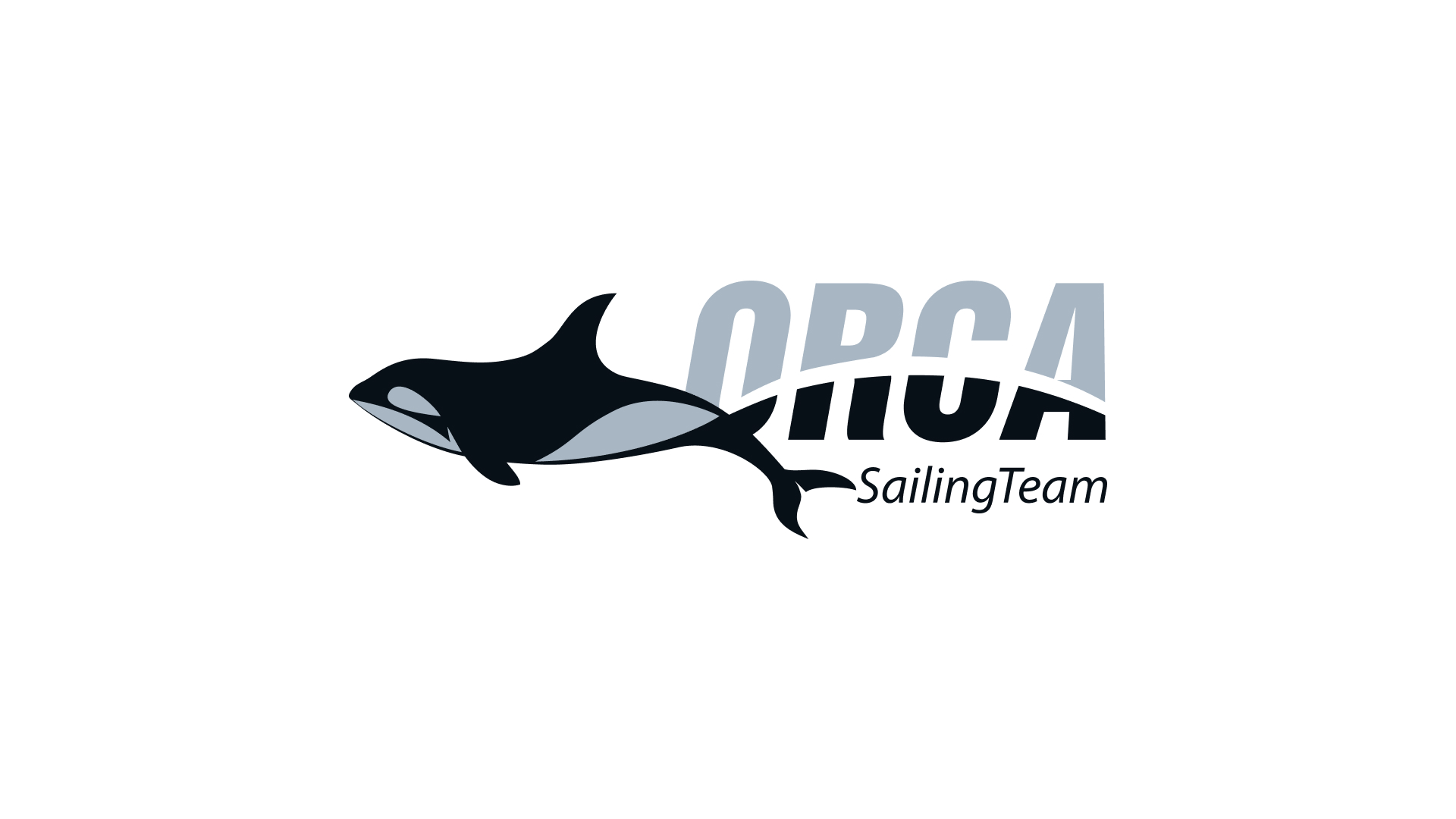 Логотип спортивной яхты «Orca». 2014 Логотип спортивной яхты «Orca». 2014