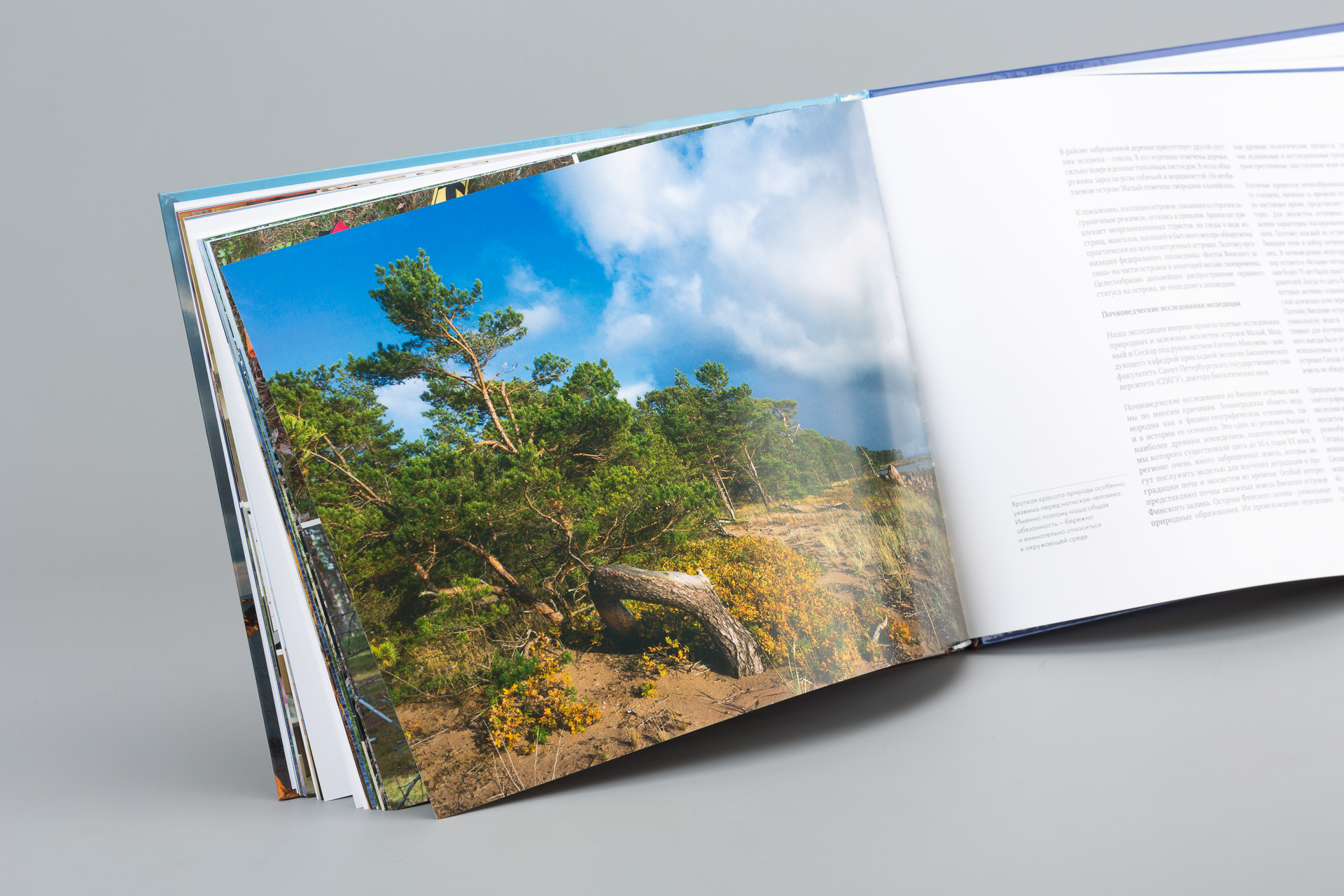 Фотоальбом «Мой край». Дизайн и верстка: студия TrofotoDesign. 2020