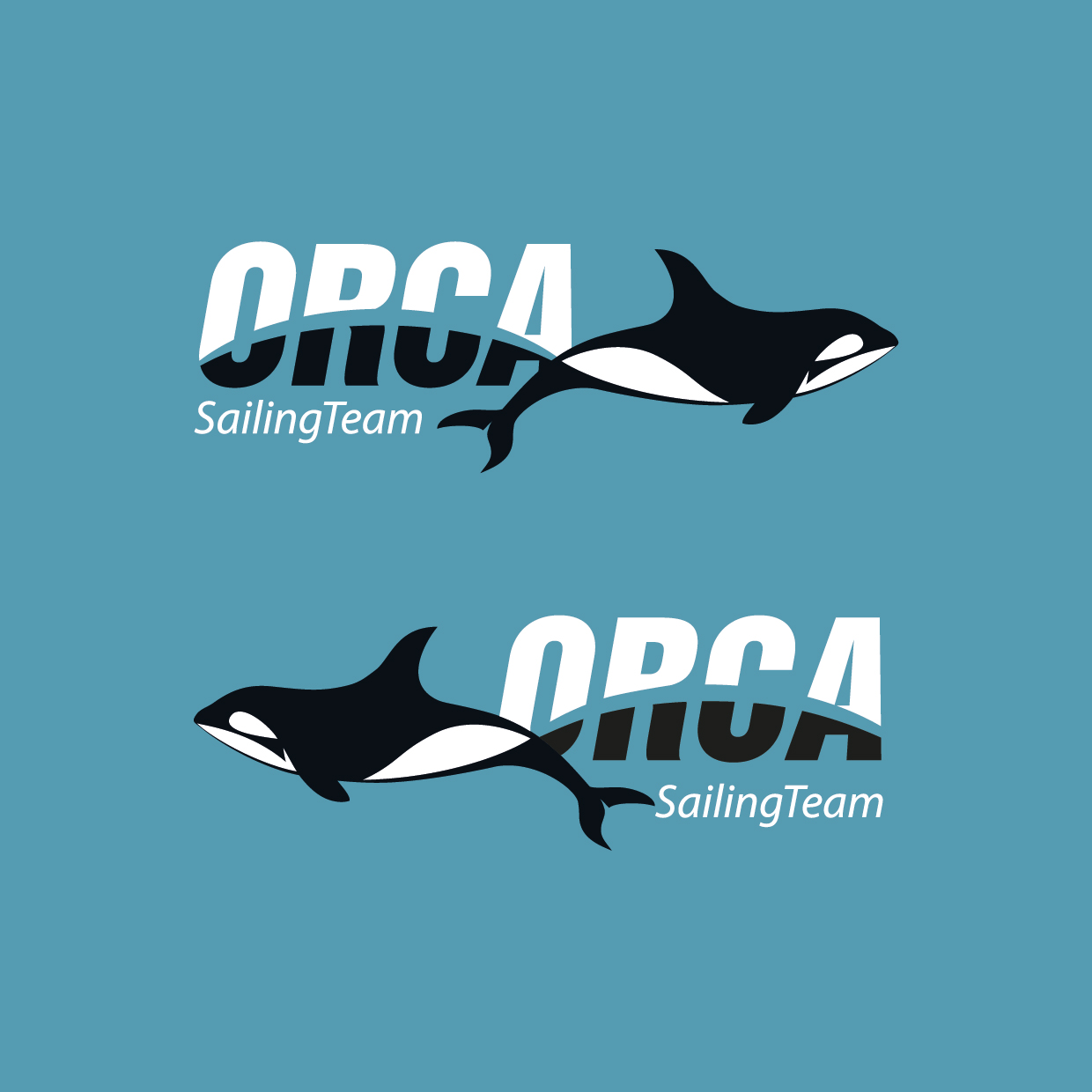 Логотип для яхты ORCA разработан в студии TrofotoDesign Логотип для яхты ORCA разработан в студии TrofotoDesign