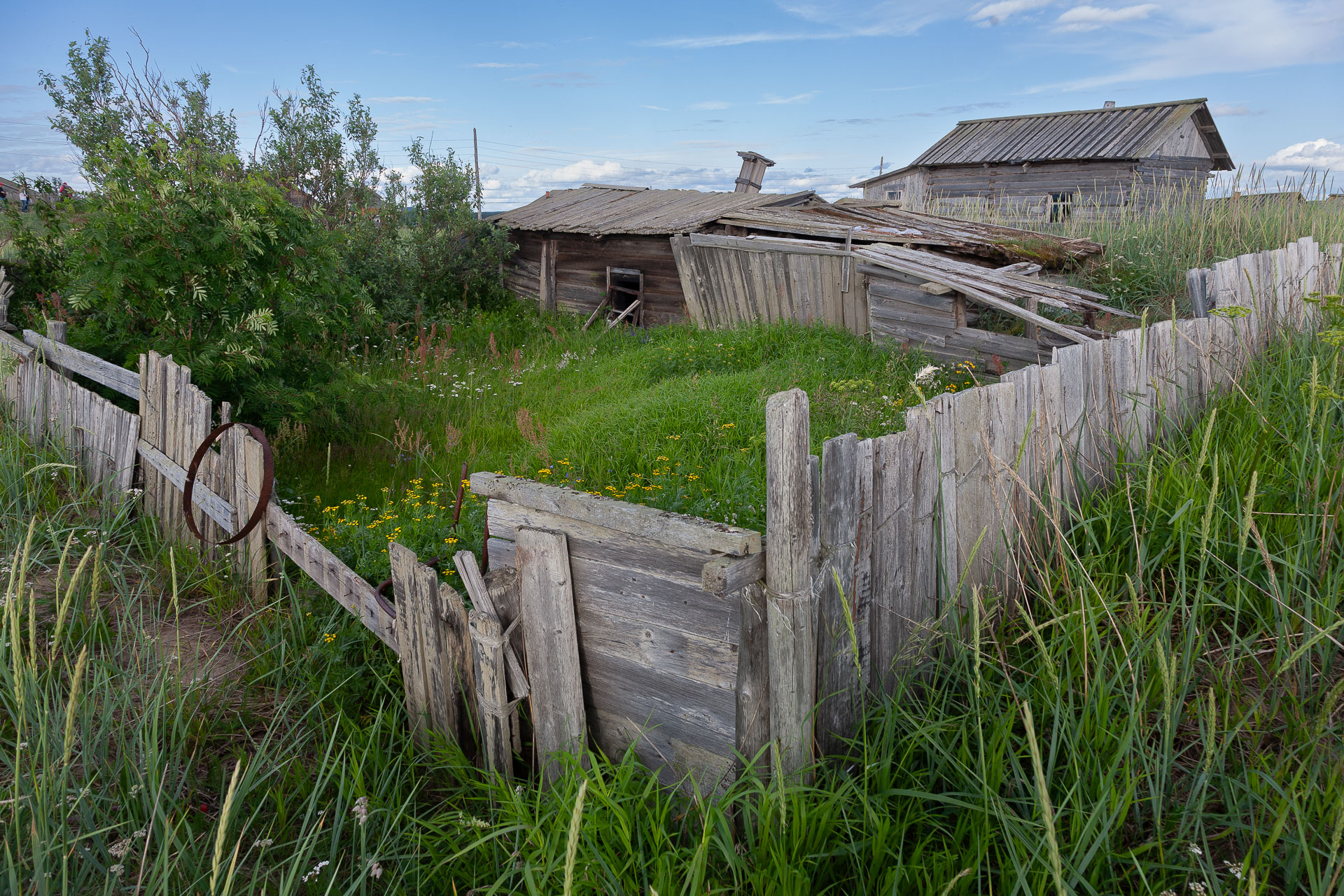 Деревня Кузомень. Мурманская область. 2008