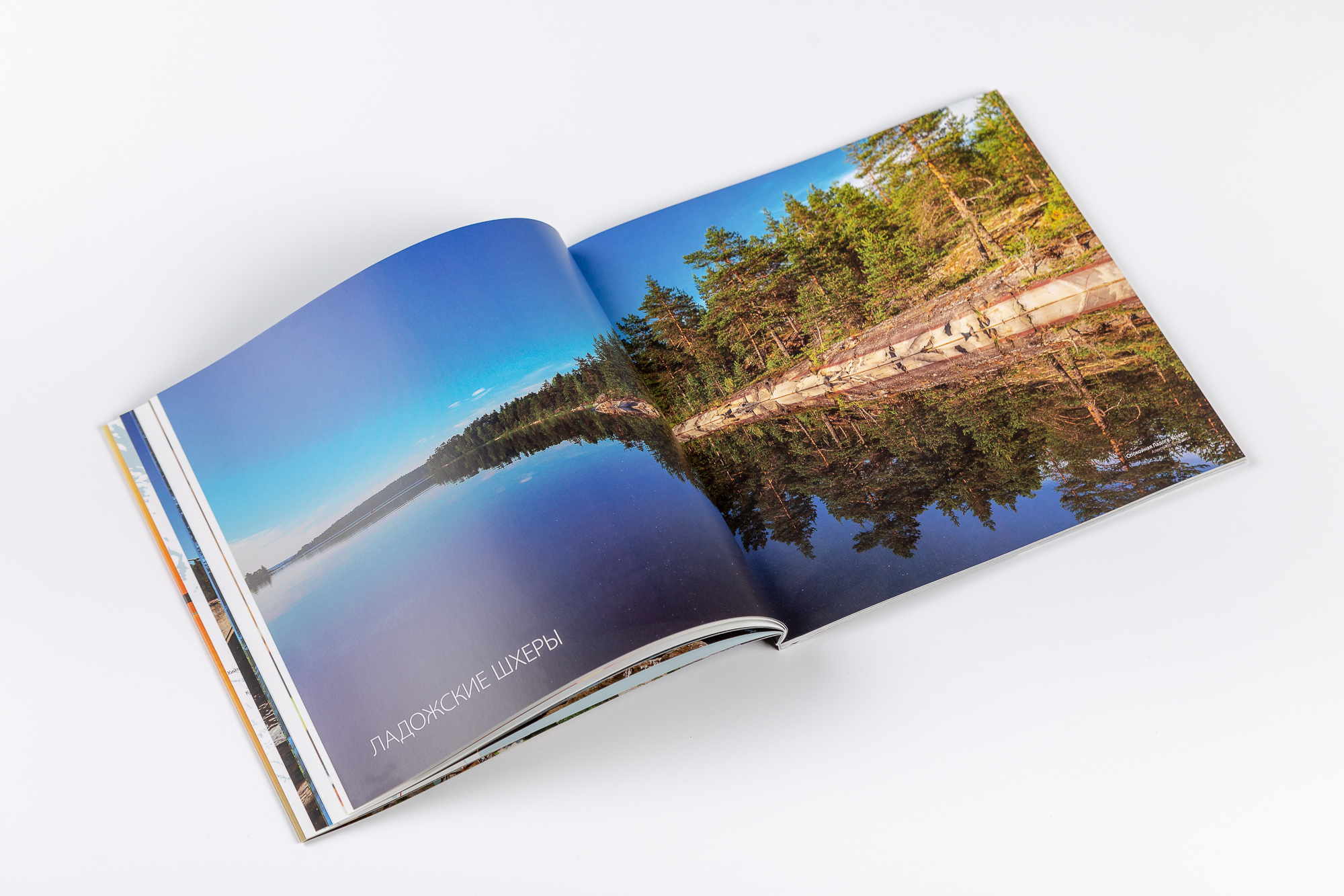 TROFOTO 1872 25022019