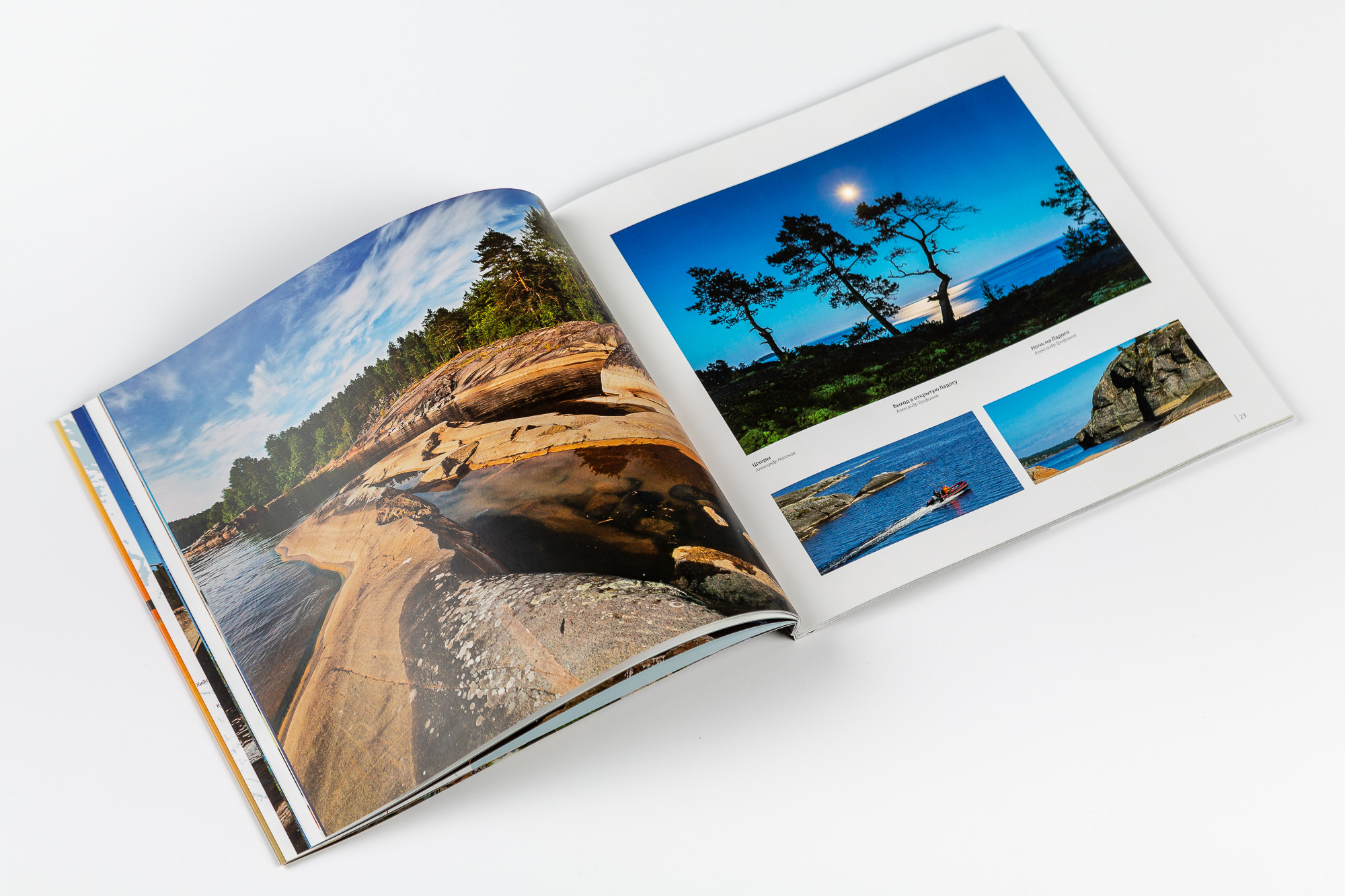 TROFOTO 1873 25022019