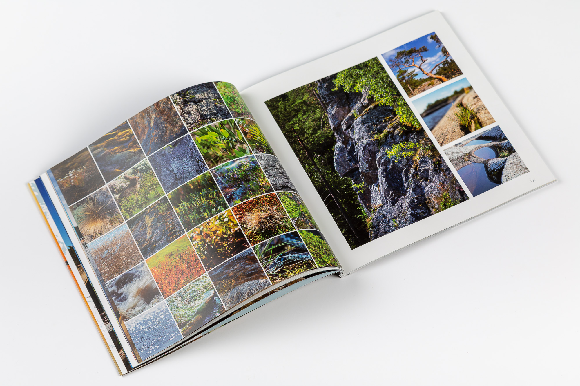 TROFOTO 1874 25022019